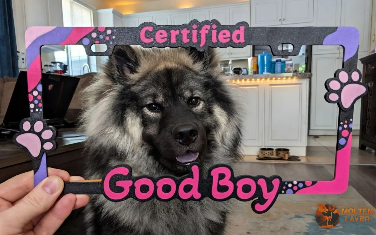 Certified Good Boy
Pink Purple hot pink black