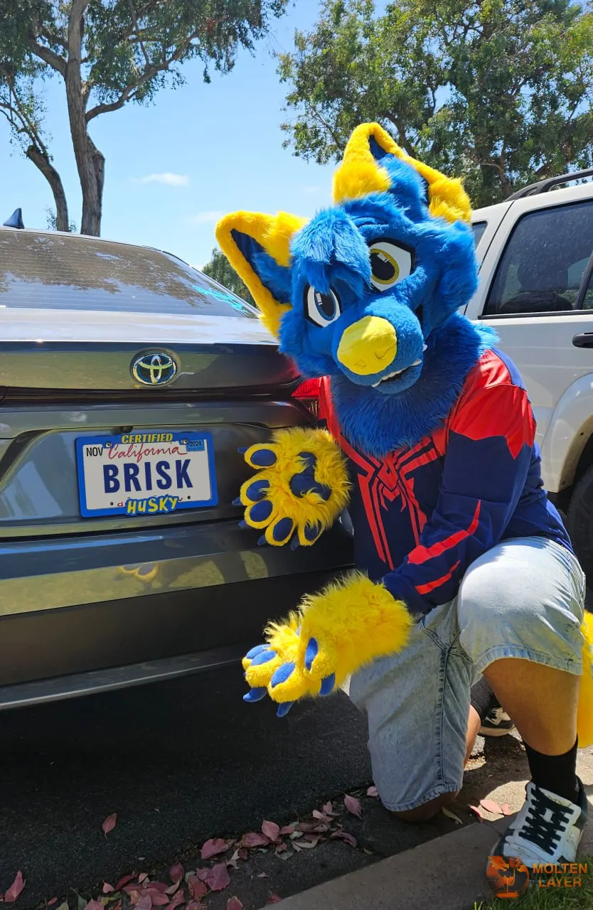 Certified Husky
Blue Yellow
Fursuit