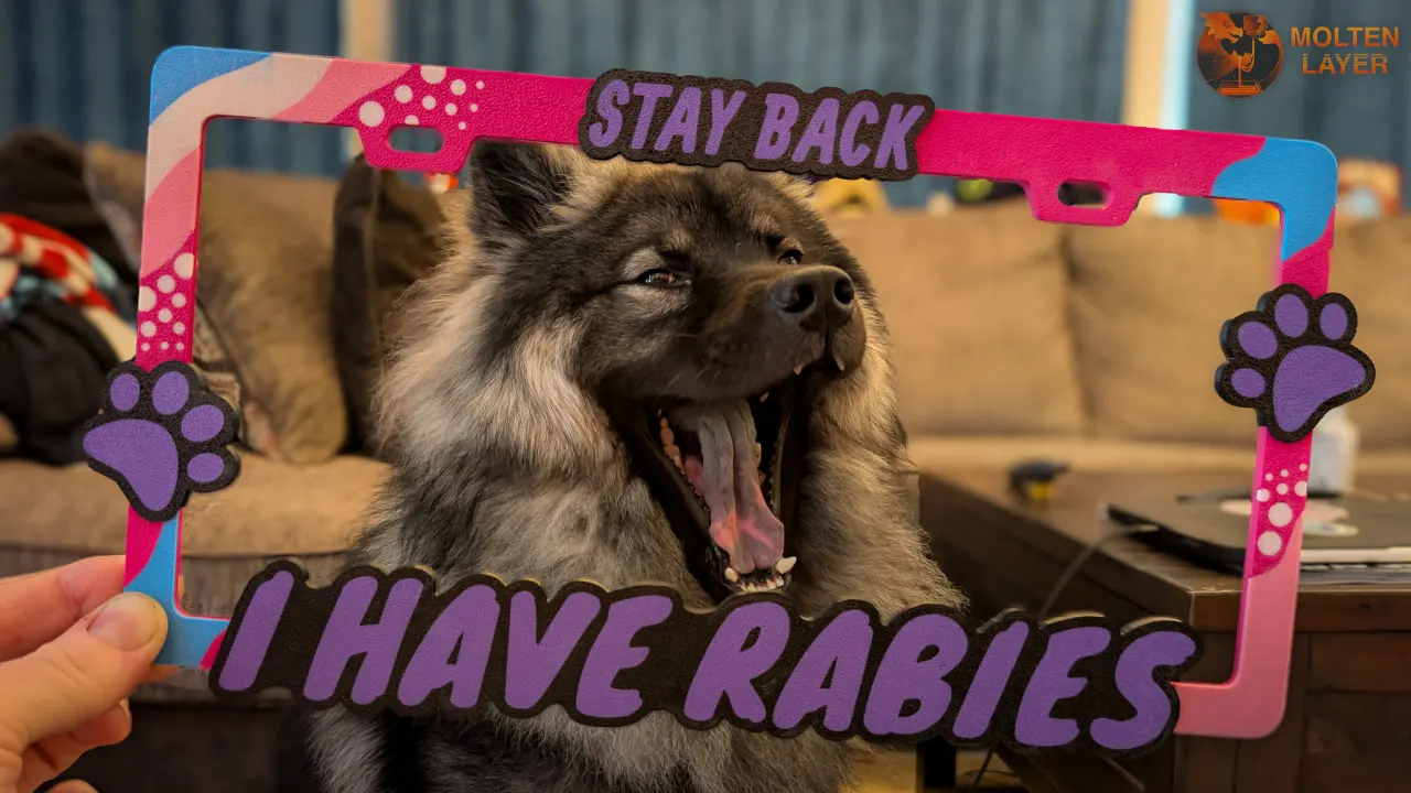 Stay Back I have Rabies
Azure Blue White Pop Pink Black
Paw Ornaments
Dog